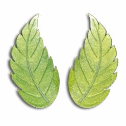 Empreinte Silicone Pâtisserie Kit Feuille Charme 300mm