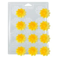 Moule Chocolat Fleurs Paquerettes Thermoformé