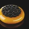 Moule Silicone Pâtisserie Top Coral -Moules Alimentaires moule silicone patisserie top coral 8
