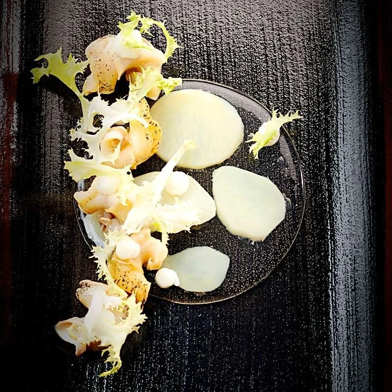 Moule Silicone Pavoni Gourmand Disco Piccolo 4 Moule Silicone Pavoni Gourmand Disco Piccolo – Image 2